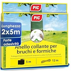 Pic anello colla usato  Spedito ovunque in Italia 