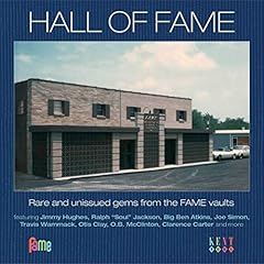 Hall fame rare d'occasion  Livré partout en Belgiqu