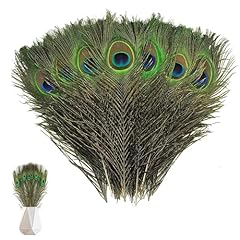 Pcs peacock feathers for sale  Delivered anywhere in UK