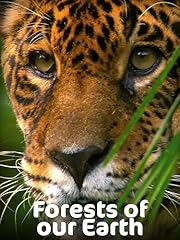 Forests earth for sale  Delivered anywhere in USA 