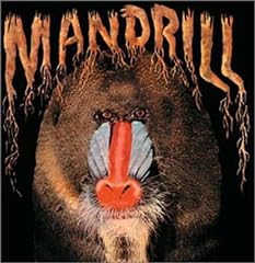 Mandrill for sale  Delivered anywhere in UK