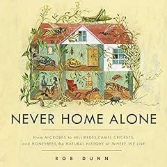 Never home alone for sale  Delivered anywhere in USA 