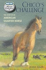 Chico challenge story for sale  Delivered anywhere in USA 