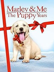 Marley puppy years for sale  Delivered anywhere in USA 