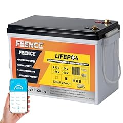 Mini batteria litio usato  Spedito ovunque in Italia 
