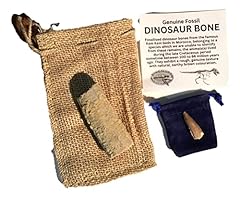 Genuine fossil dinosaur for sale  Delivered anywhere in USA 