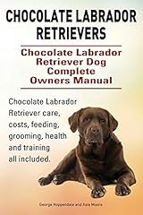 Chocolate labrador retrievers. d'occasion  Livré partout en France