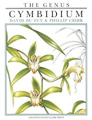 Genus cymbidium for sale  Delivered anywhere in Ireland
