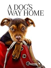 Dog way home usato  Spedito ovunque in Italia 