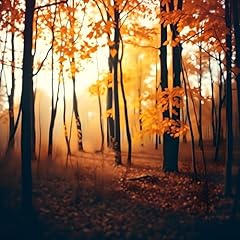 Autumn d'occasion  Livré partout en France