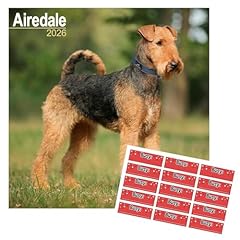 Airedale terrier calendar for sale  Delivered anywhere in UK