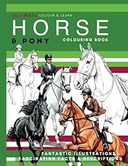 Horse colouring book d'occasion  Livré partout en France