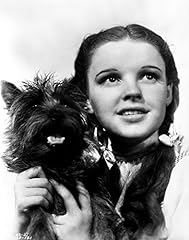 Dorothy gale holding for sale  Delivered anywhere in USA 
