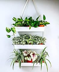 Lálágreen hanging wall for sale  Delivered anywhere in USA 