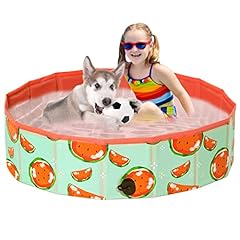 Demigreat hundepool fur gebraucht kaufen  Wird an jeden Ort in Deutschland