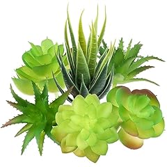 Pietypet fake succulent for sale  Delivered anywhere in USA 