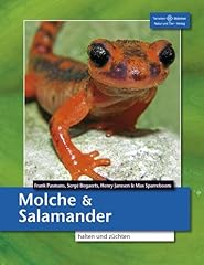 Molche salamander züchten gebraucht kaufen  Wird an jeden Ort in Deutschland
