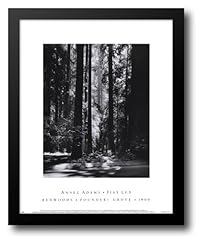 Redwoods founders grove for sale  Delivered anywhere in USA 