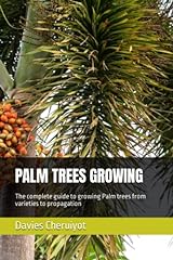 Palm trees growing for sale  Delivered anywhere in USA 