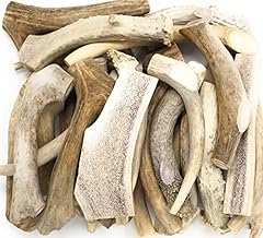 Big dog antler for sale  Delivered anywhere in USA 