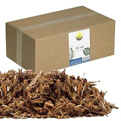 100 natural pine for sale  Delivered anywhere in USA 