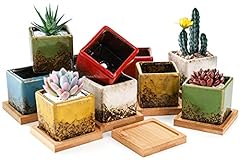 Topzea set succulent for sale  Delivered anywhere in USA 