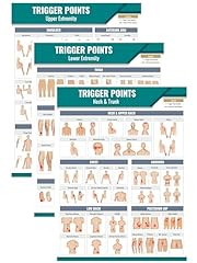 Myofascial trigger point for sale  Delivered anywhere in USA 