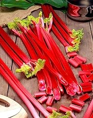 Rhubarb seeds seeds for sale  Delivered anywhere in USA 