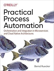 Practical process automation for sale  Delivered anywhere in USA 