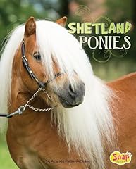 Shetland ponies for sale  Delivered anywhere in USA 
