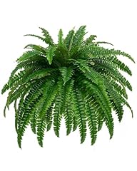 Gyerb large fake for sale  Delivered anywhere in USA 