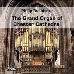 Grand organ chester d'occasion  Livré partout en France
