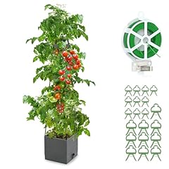 Qaobo raised garden for sale  Delivered anywhere in USA 