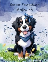 Berner sennenhund malbuch gebraucht kaufen  Wird an jeden Ort in Deutschland