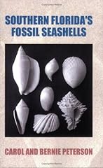 Southern florida fossil for sale  Delivered anywhere in USA 