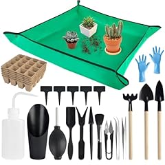Succulentlovers 26pcs succulen for sale  Delivered anywhere in USA 