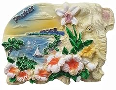 Phuket thailand kühlschrankma gebraucht kaufen  Wird an jeden Ort in Deutschland
