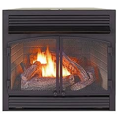 ProCom Dual Fuel Ventless Gas Fireplace Insert - 32,000 for sale  Delivered anywhere in USA 
