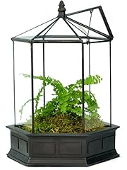 Potter glass terrarium for sale  Delivered anywhere in USA 