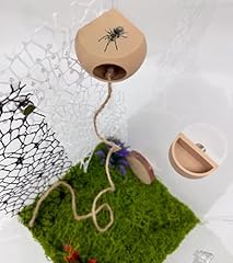 Okueejur jumping spider for sale  Delivered anywhere in UK