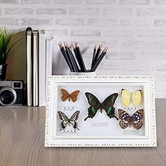 Yosoo framed butterfly for sale  Delivered anywhere in UK