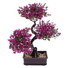 Ganazono bonsai tree for sale  Delivered anywhere in UK