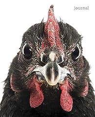 Journal black australorp for sale  Delivered anywhere in UK