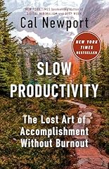 Slow productivity lost for sale  Delivered anywhere in USA 