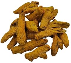 Radice curcuma essiccata usato  Spedito ovunque in Italia 