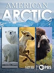 American arctic for sale  Delivered anywhere in USA 