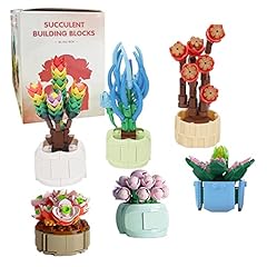 Succulents mystery bag for sale  Delivered anywhere in UK