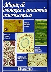 Atlante istologia anatomia usato  Spedito ovunque in Italia 