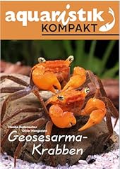 Geosesarma krabben aquaristik gebraucht kaufen  Wird an jeden Ort in Deutschland