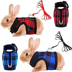 Pieces guinea pig for sale  Delivered anywhere in USA 